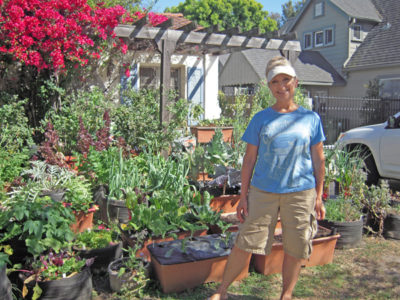 IT BEGAN when she planted two Earthboxes. Today, Jo Anne Trigo’s front yard yields a bounty of fruits and vegetables.