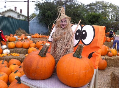 A WITCH hung out with the pumpkins at last year's patch.
