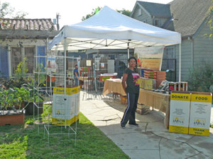 TWO DOG assistant Sydney Latimer helped collect donations at a food drive last year at the organic nursery. 