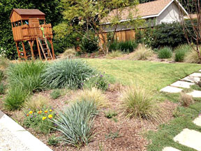 HOMEOWNER opted for UC verde grass.