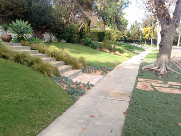 AFTER PHOTO shows parkway and yard with Dymondia, flagstone, UC Verde, senecio, stipa and pebbles.