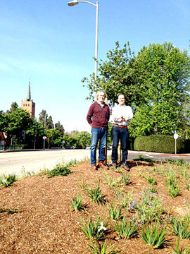 COMMUNITY LEADERS Scott Goldstein and Larry Guzin stand next to a newly planted tree at the Norton triangle. 