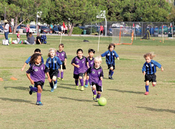 BLUE AND PURPLE shirts adorn local U8 AYSO soccer players on a Sunday morning at Pan Pacific Recreation Center, top and bottom photos.