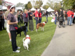 Best Friends’ ‘Strut your Mutt’ for homeless pets in Pan Pacific Park