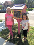 The Little Free Library that thought it could… and did