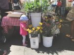 Larchmont Farmers Market: popular summer and year-round attraction