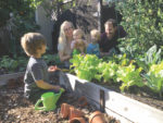 Whether for comfort or sustenance, ‘victory gardens’ are flourishing