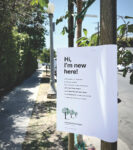 New parkway trees planted thanks to resident volunteers
