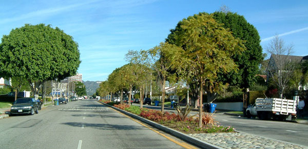 Property owners hear plans for North Larchmont median