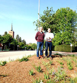 Native plants used in new look for traffic triangle