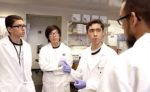 Students conduct stem cells research with hands-on lab work