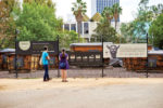 New tar pit exhibits, fossils made public