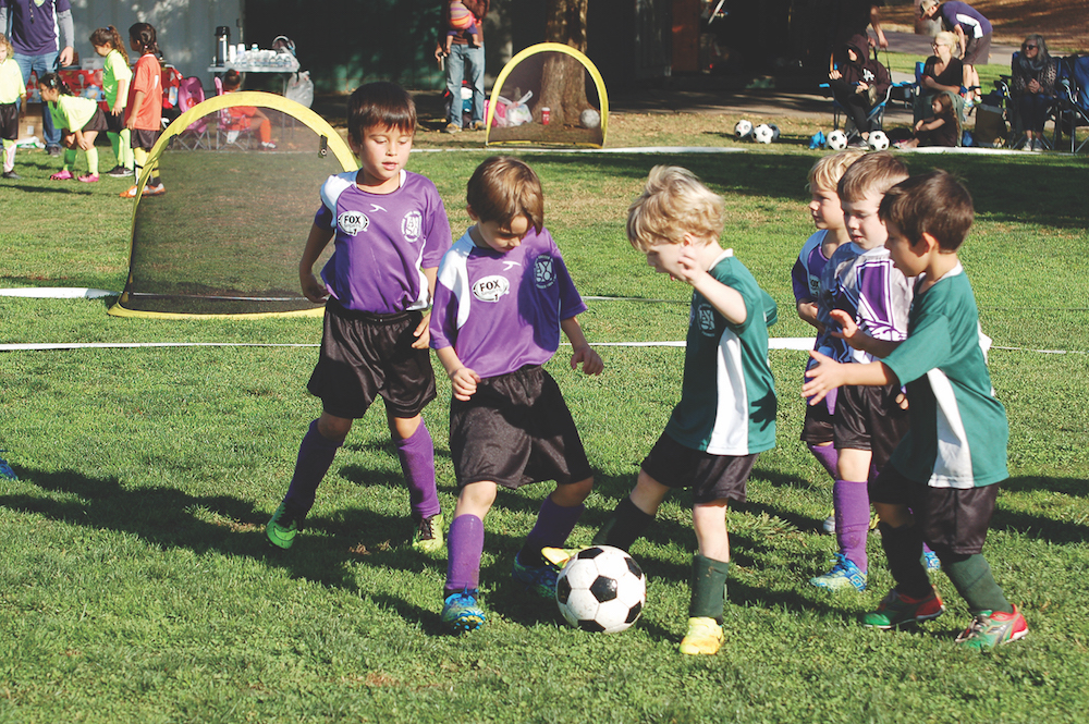 AYSO soccer games set to kick off this month Larchmont Chronicle