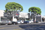 Rite Aid trees to come down, WSA has plan
