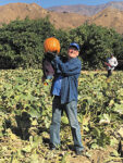 More than pumpkins to be at Patch