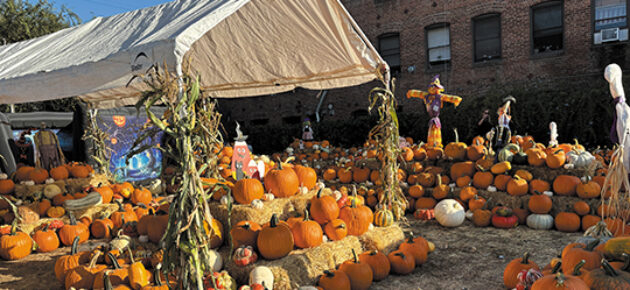 Many colored pumpkins will be for sale soon on the Boulevard