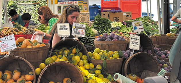 Larchmont’s beloved market faces uncertain future amid backroom land deal