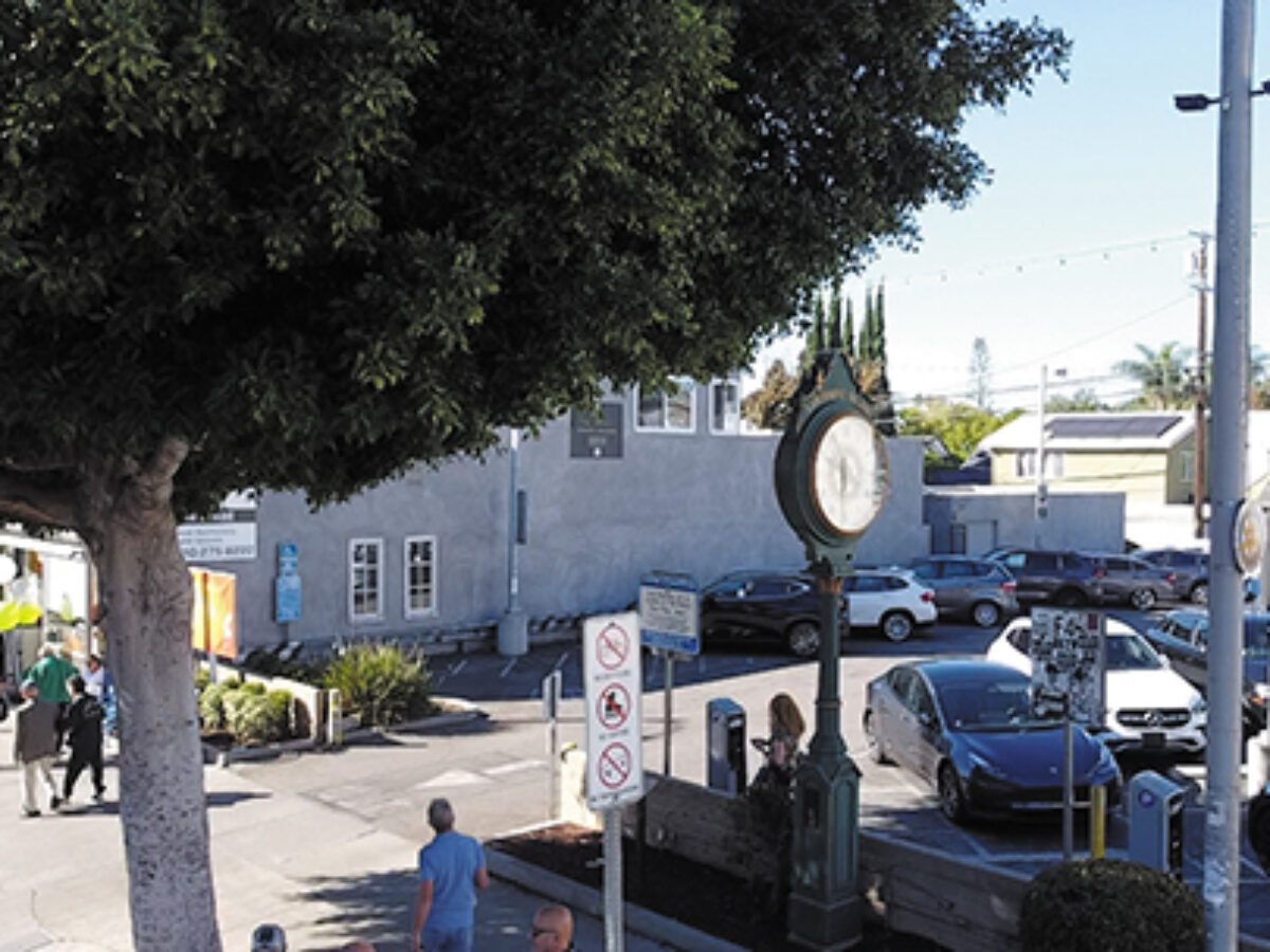 Image related to the op-ed about fires and future