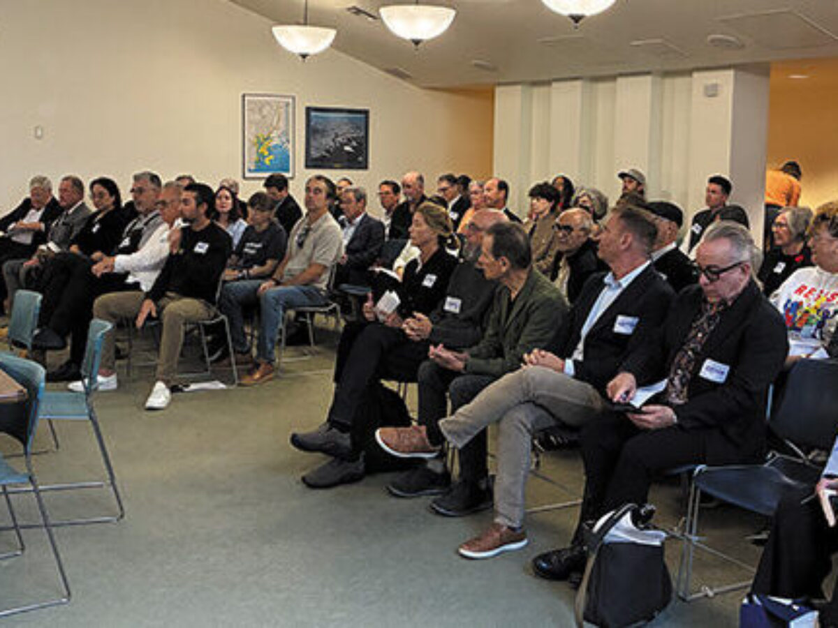 Image related to the op-ed about fires and future