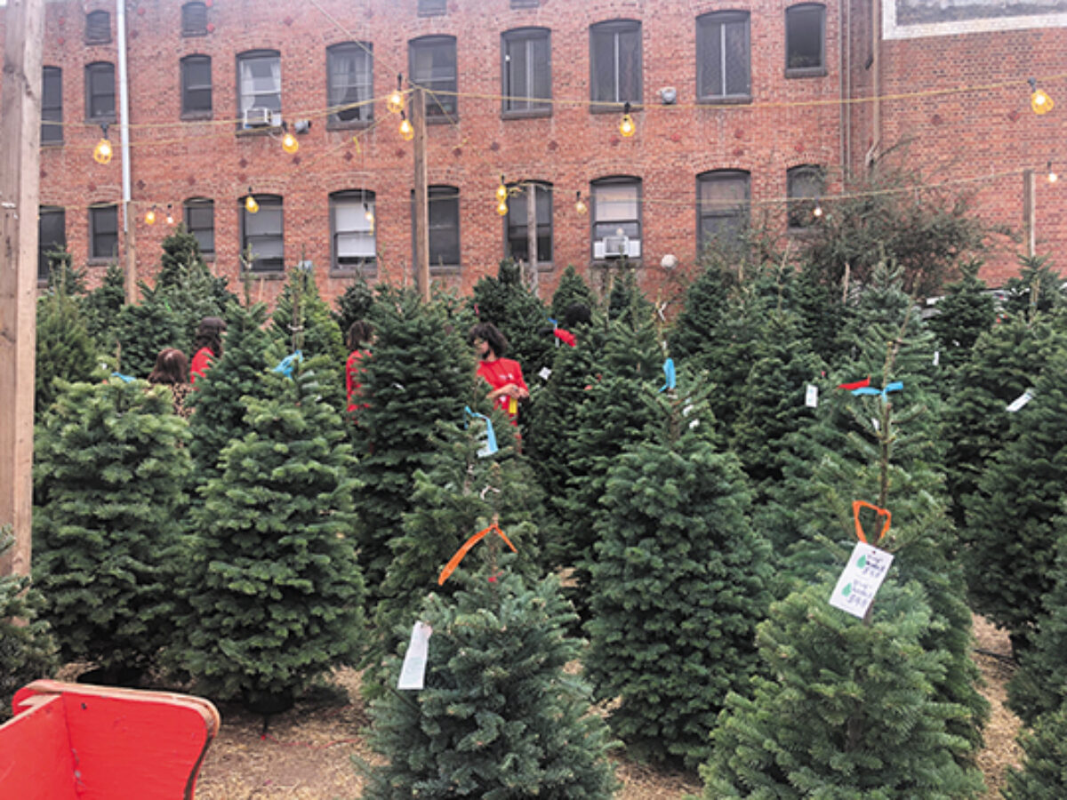 Tree Lot Rotary tree lot on Larchmont : Larchmont Chronicle