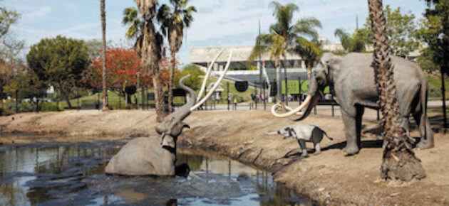 New look to expand on La Brea Tar Pits’ Ice Age past