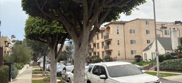 It takes teamwork to end prostitution on the Western Ave. corridor