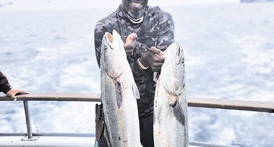 Program helps repopulate the Pacific