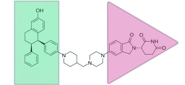 A new kind of drug points to where medicine is headed