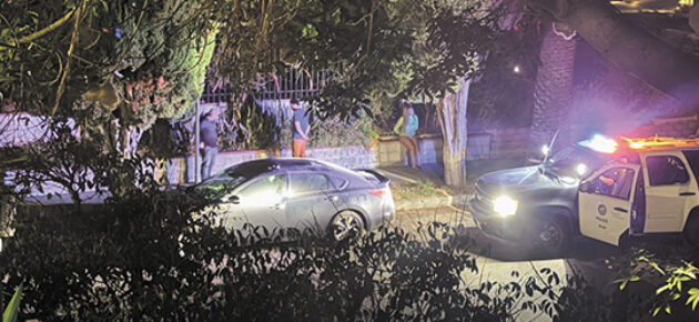 Police News: Violent Intruder on Lucerne, Prostitution Crackdown