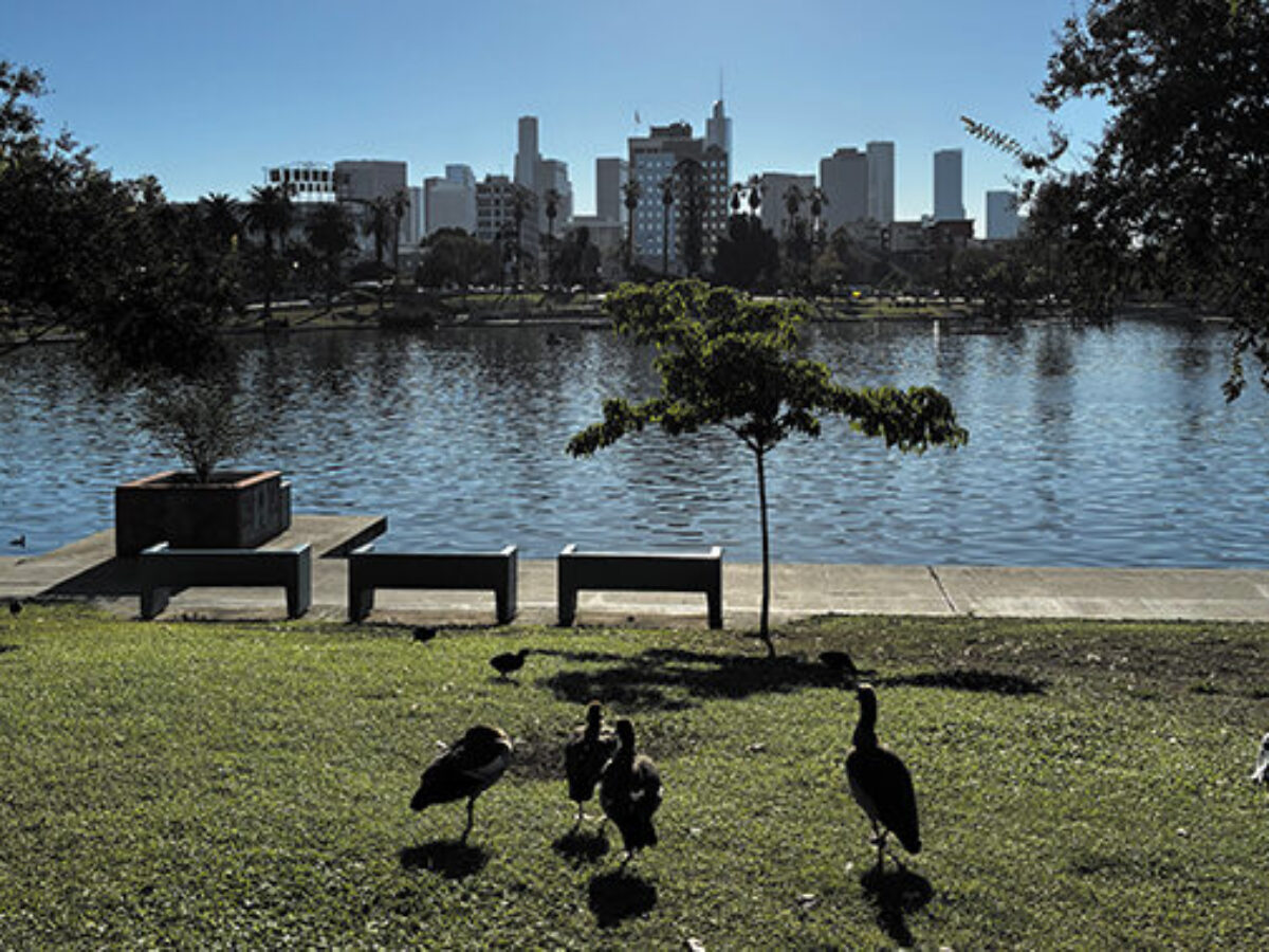 MacArthur Park is almost picture perfect again